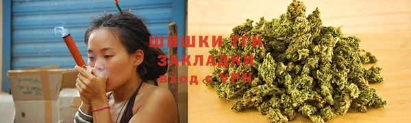 гашик Каменка
