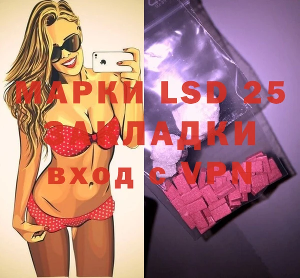 гашик Каменка