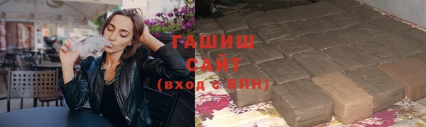 гашик Каменка
