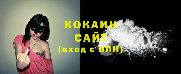 МДПВ Каменногорск