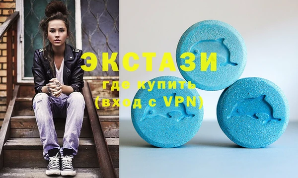 гашик Каменка
