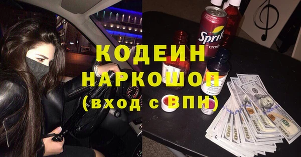 гашик Каменка