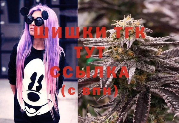 МДПВ Каменногорск