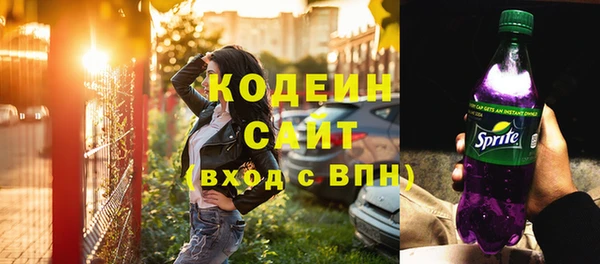 МДПВ Каменногорск