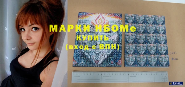 гашик Каменка