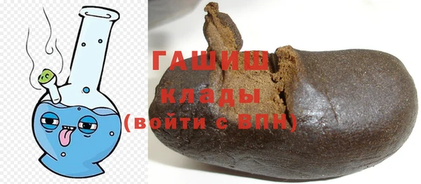гашик Каменка