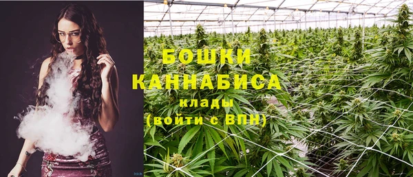 ПСИЛОЦИБИНОВЫЕ ГРИБЫ Карталы