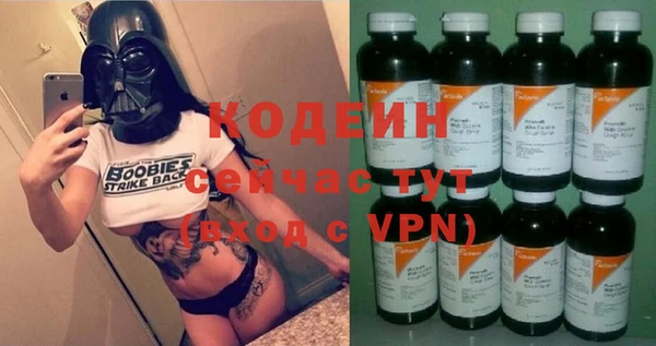 гашик Каменка