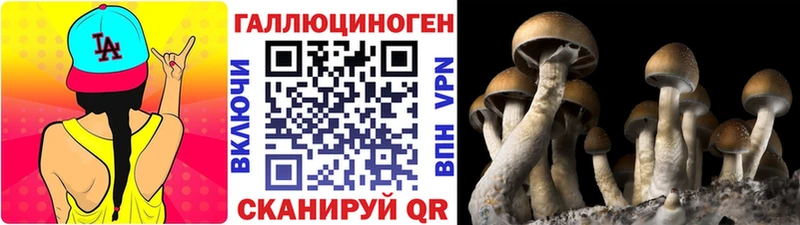 Псилоцибиновые грибы Psilocybine cubensis  Купить где  Емва 